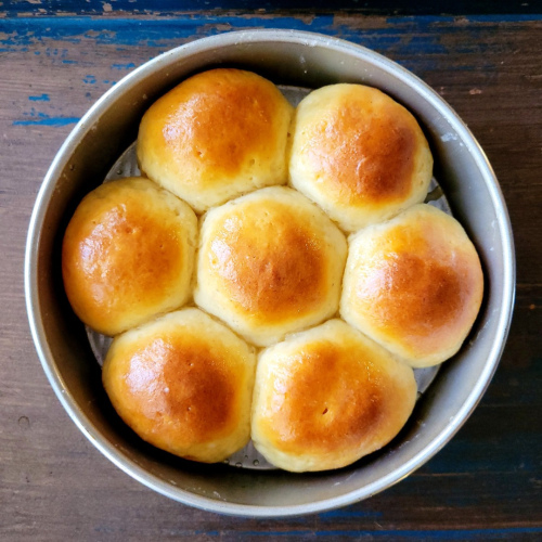 Dinner Rolls